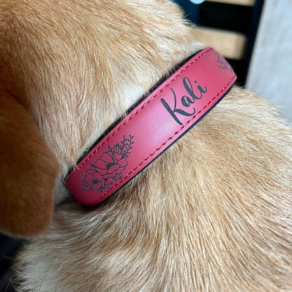 Dog collars